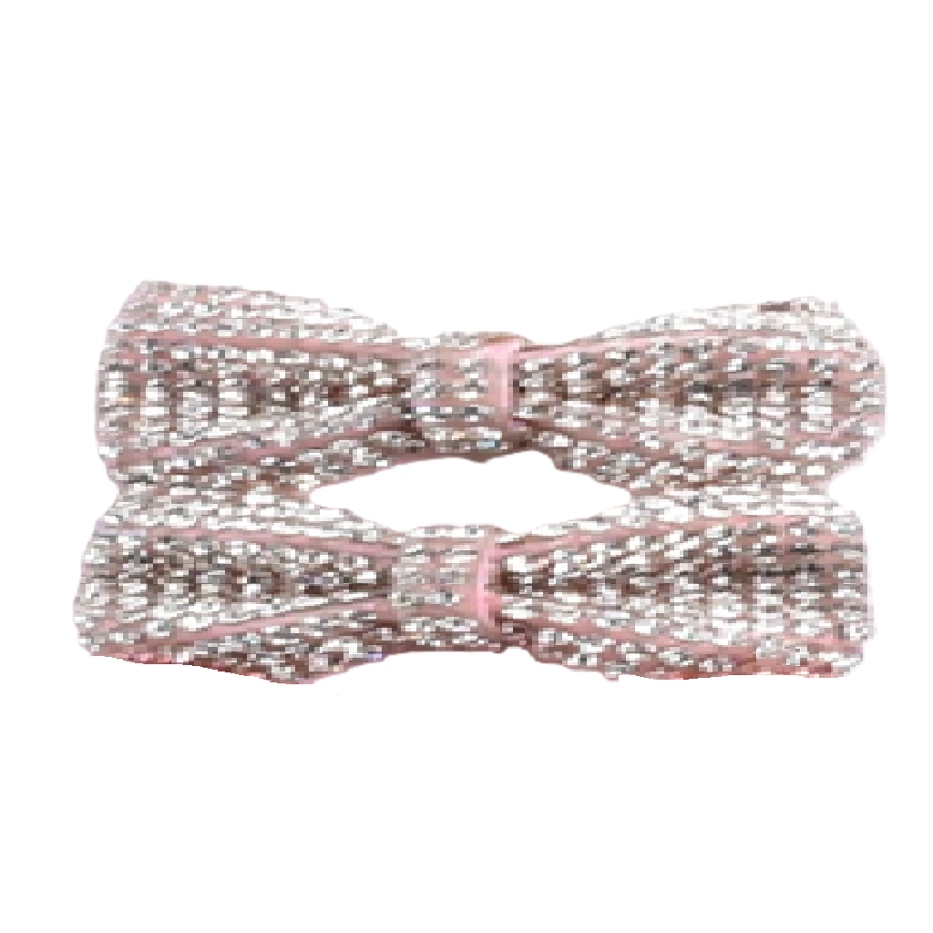 Pair of sparkly silver hair clips